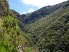 Westeuropa, Madeira: Wander-Sommerreise - Im Janelatal